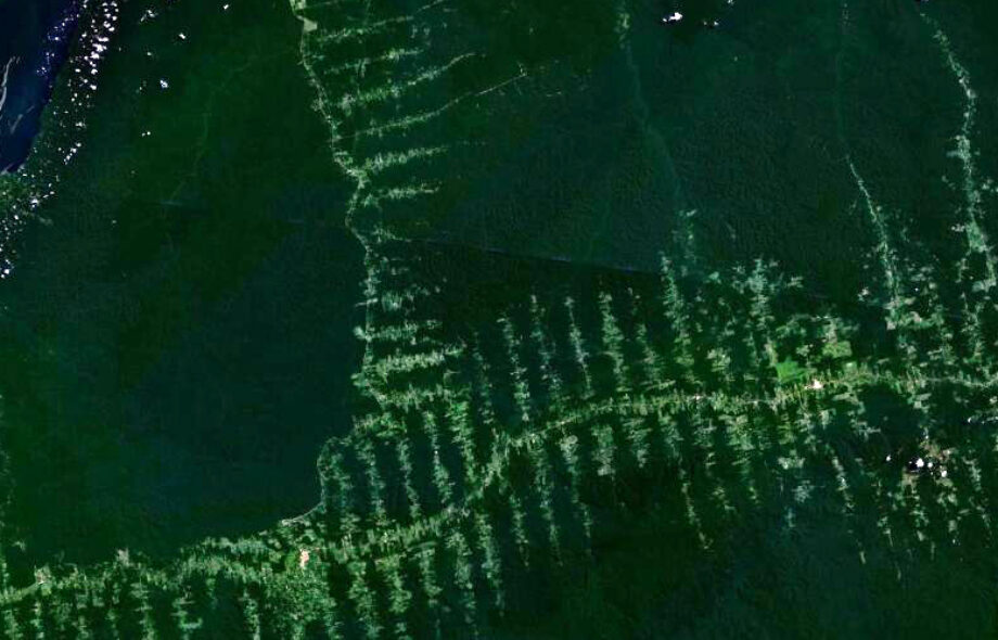Brésil : la route transamazonienne menace de déforestation
