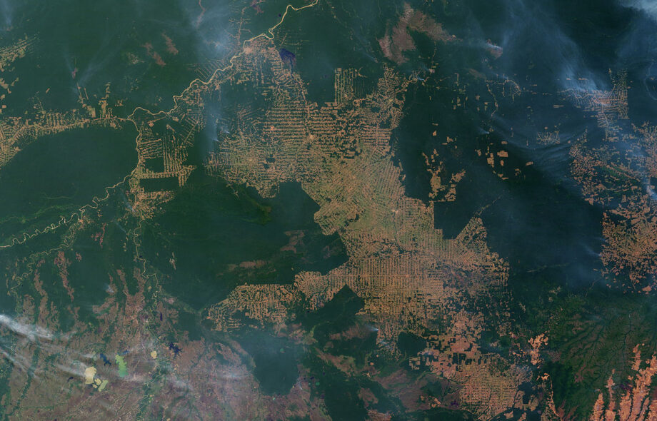 La déforestation vue de l’espace