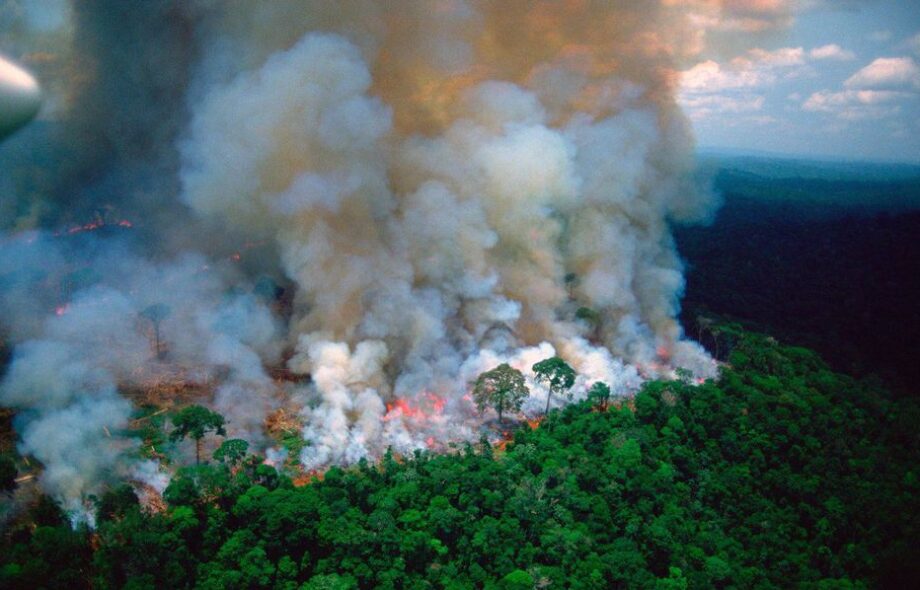 En Bolivie, la superficie de l&rsquo;Irlande est partie en fumée