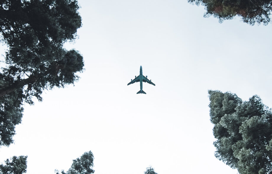 Quels sont les risques associés au #treewashing ?