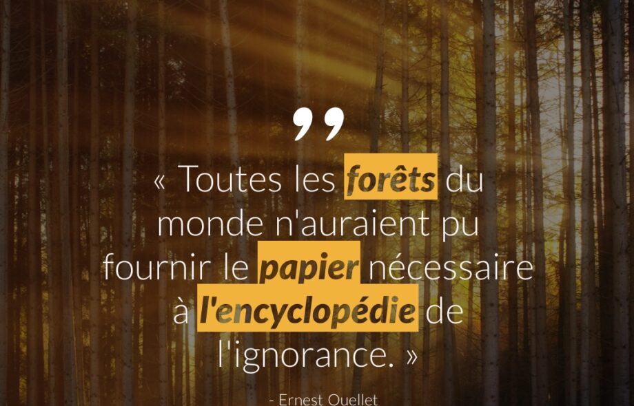 Citation #8 – Arbre & Forêt
