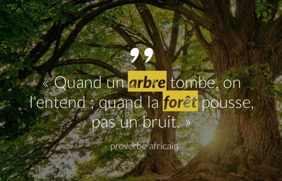 Citation #5 – Arbre & Forêt