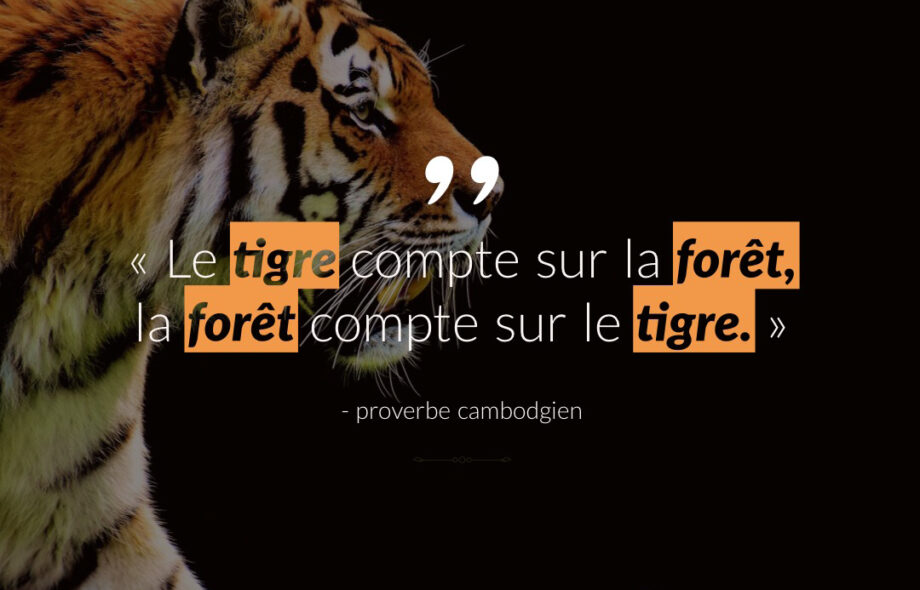 Citation #4 – Arbre & Forêt