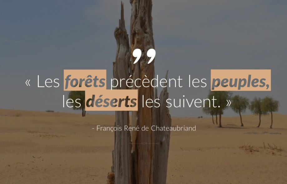 Citation #7 – Arbre & Forêt
