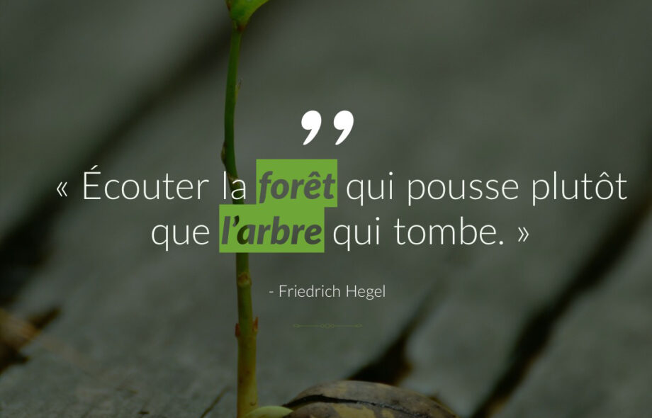 Citation #9 – Arbre & Forêt