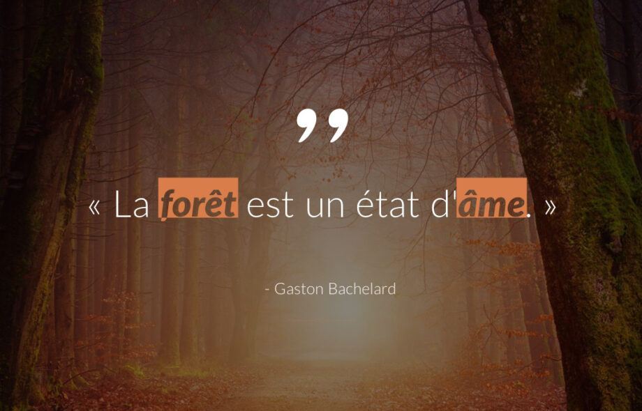 Citation #14 – Arbre & Forêt