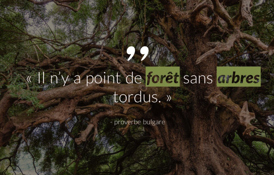 Citation #10 – Arbre & Forêt