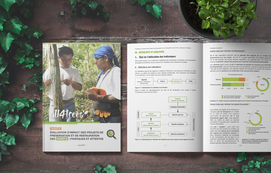 Évaluation d’impact des projets de préservation et de restauration  des forêts : pratiques et attentes