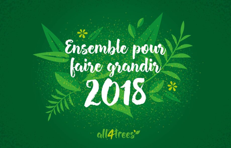 Meilleurs vœux 2018