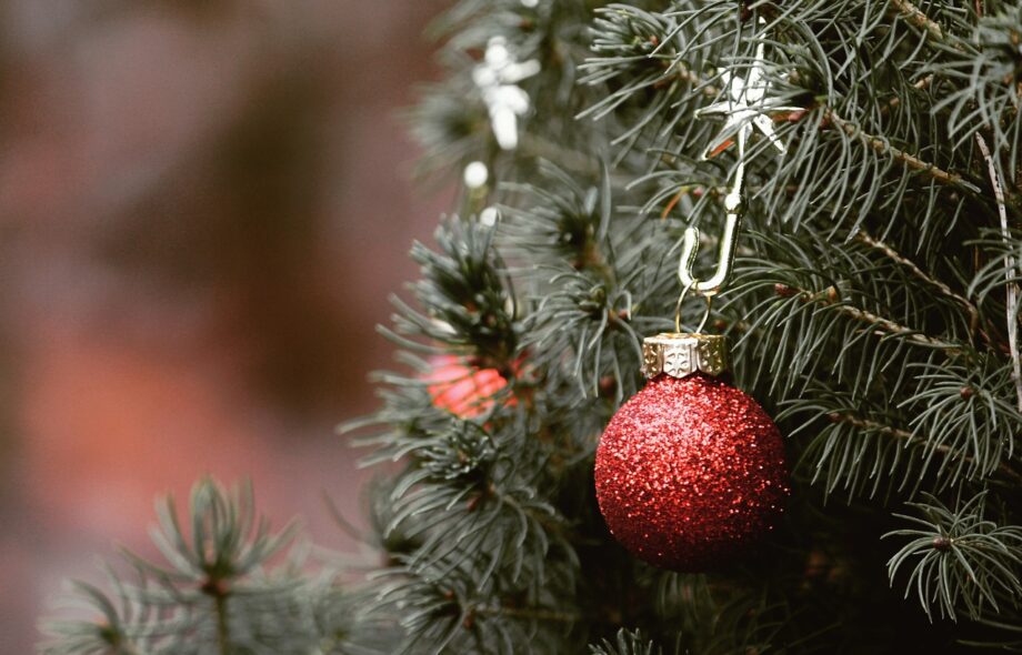 Quel sapin de Noël choisir ?