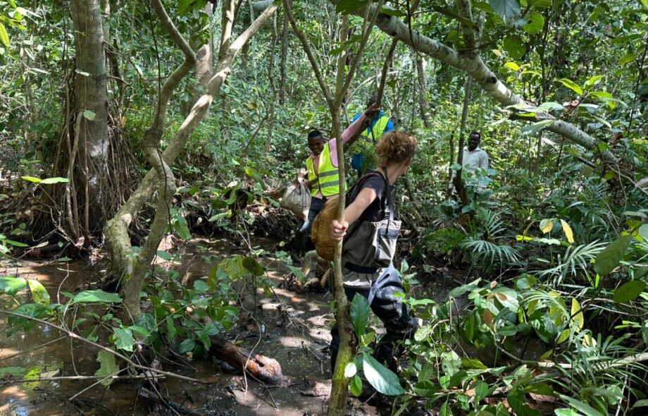 Carnet de bord #21 : inventaires forestiers au bénin