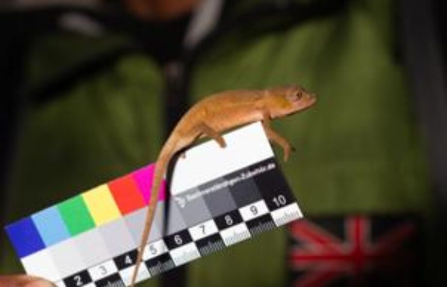 Carnet de bord #22 : éloge du temps long