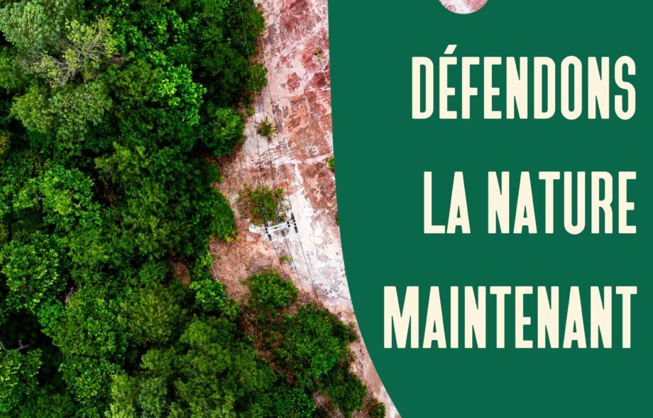 Défendons la nature maintenant : signez la pétition !