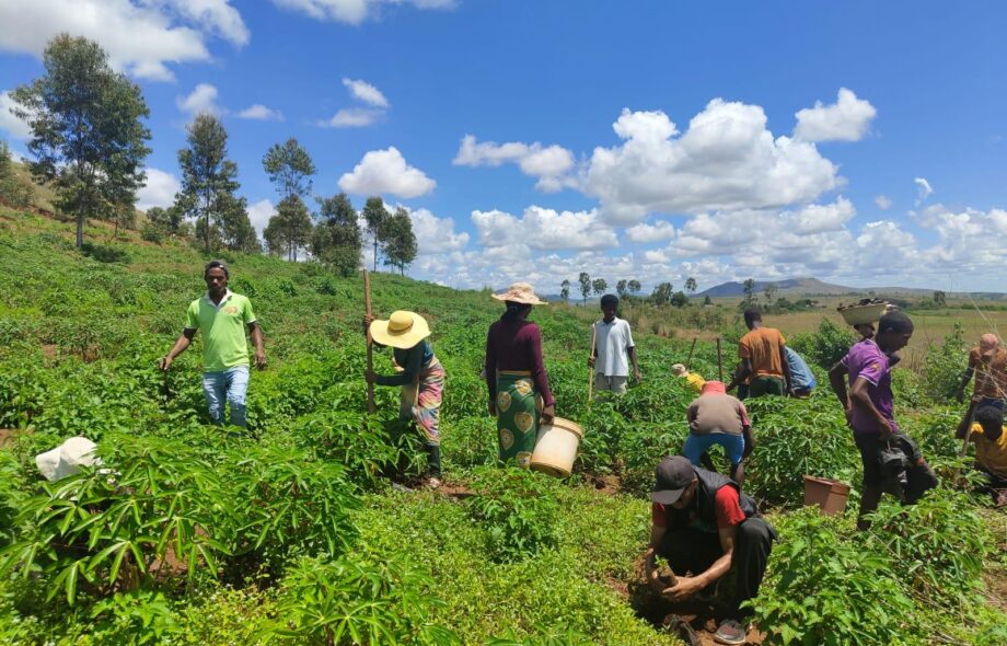 Carnet de bord #23 : contre vents et pluies