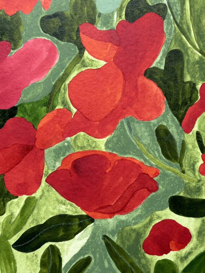 Poppies in Belvès