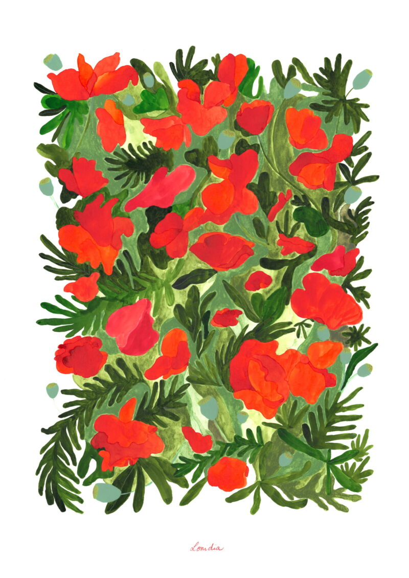 Poppies in Belvès