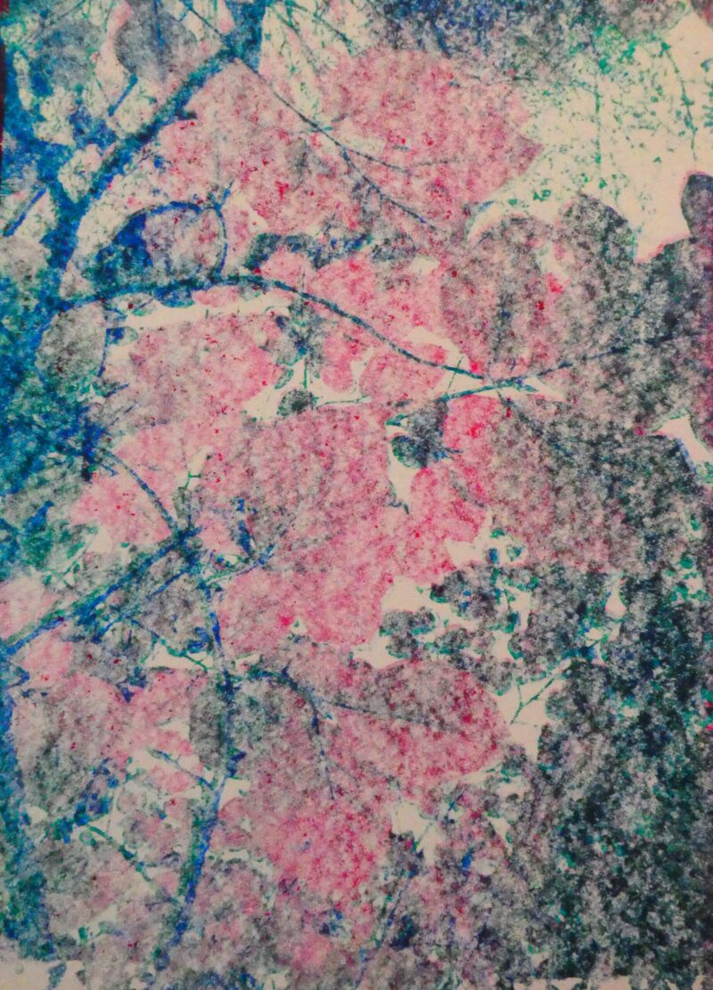 Pink Forest n°22