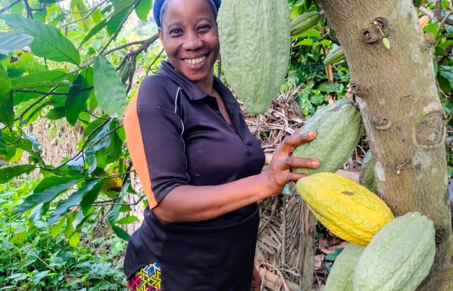 A la rencontre d&rsquo;Eliane, vannière et productrice de cacao au Bénin