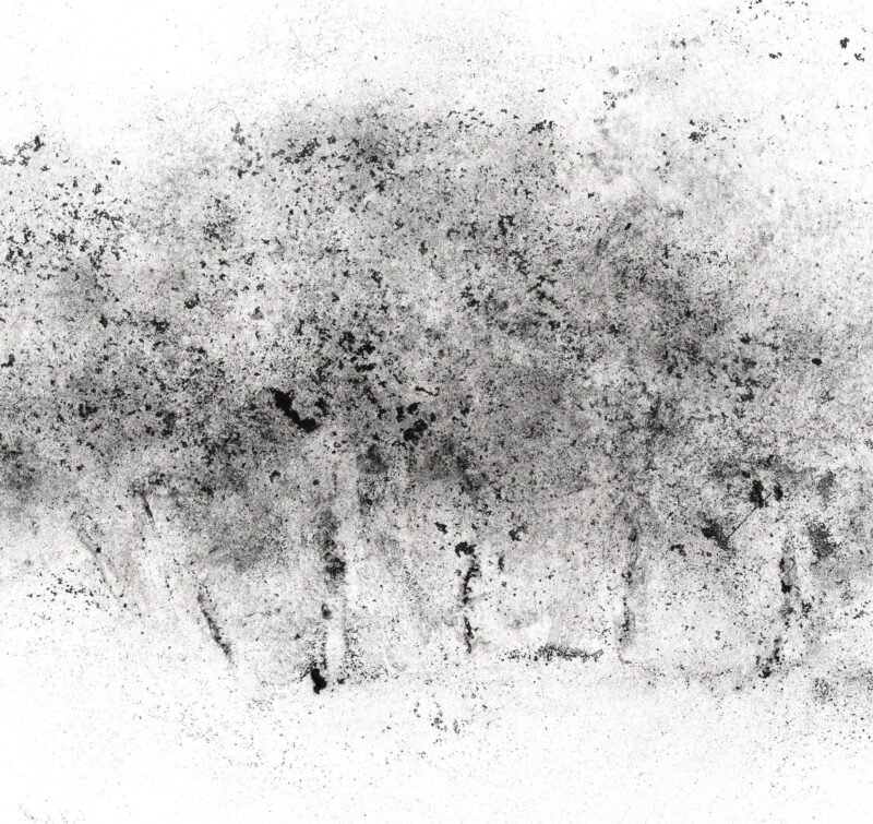 Sous-bois 09.2