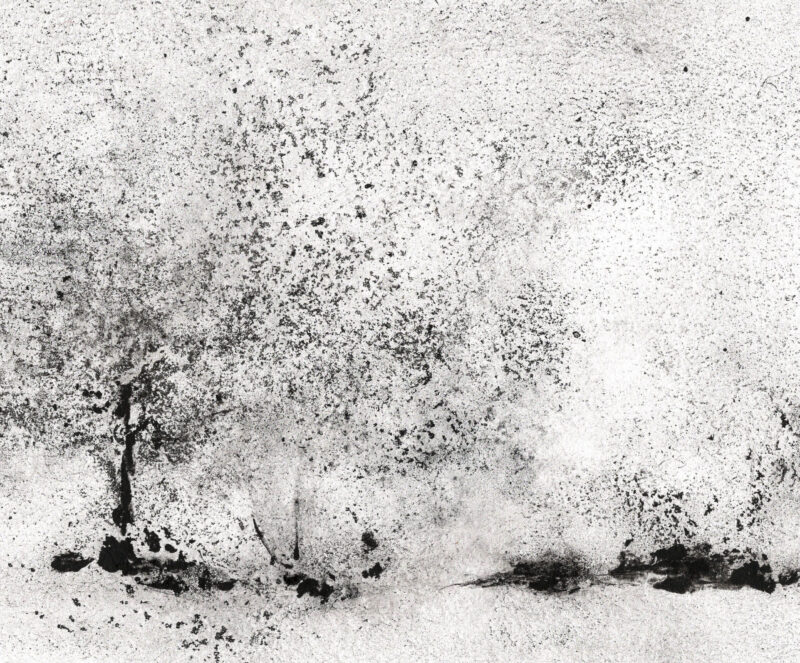 Sous-bois 09.3